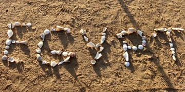 a word made of shells on sand