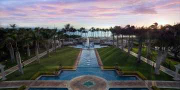 a pool with water and palm trees in the background