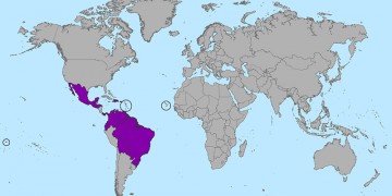 Zika virus map January 2016