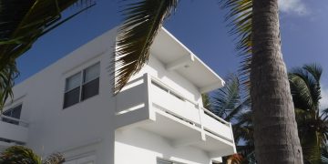 a white building with palm trees