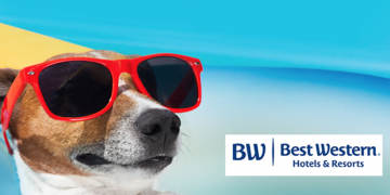 Best Western Dream Dog Vacation Sweepstakes