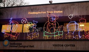 National Zoo Christmas lights Washington, D.C.