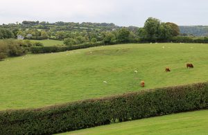 Newgrange passage tombs Ireland