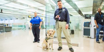 a man and dog standing in a hallway with a woman behind him