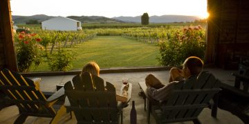 a couple sitting on a patio with a vineyard in the background