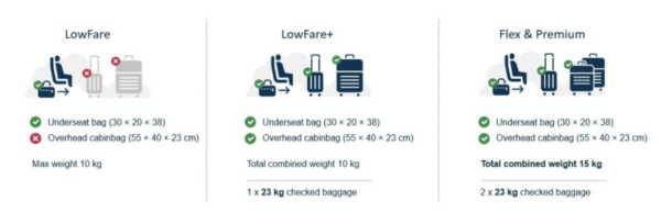 norwegian baggage fees international