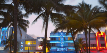 a palm trees and a hotel