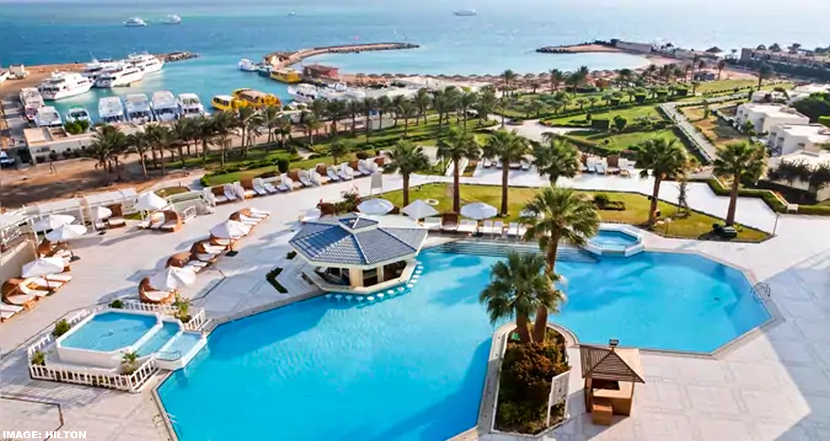 a swimming pool with palm trees and a body of water