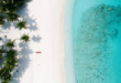 a beach with palm trees and blue water