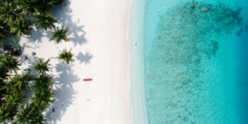 a beach with palm trees and blue water