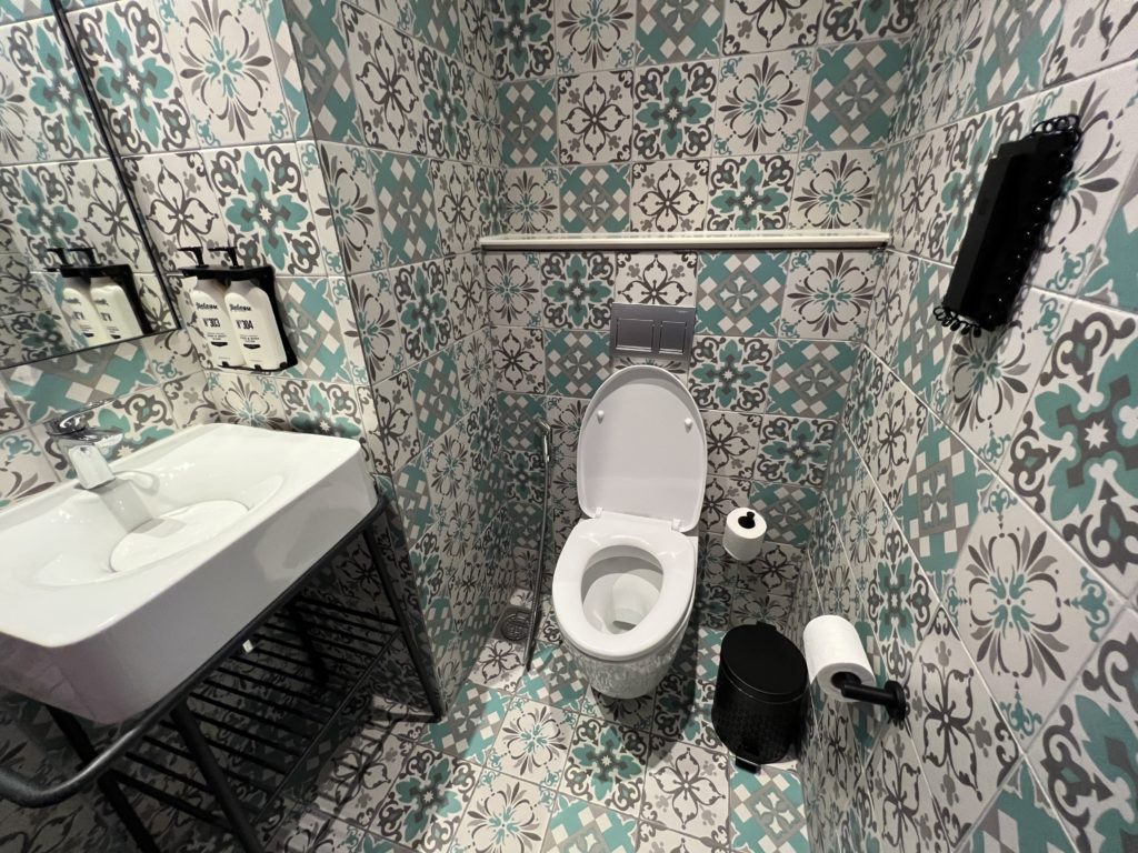 a bathroom with a sink and toilet