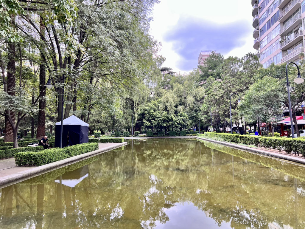 a pond in a park